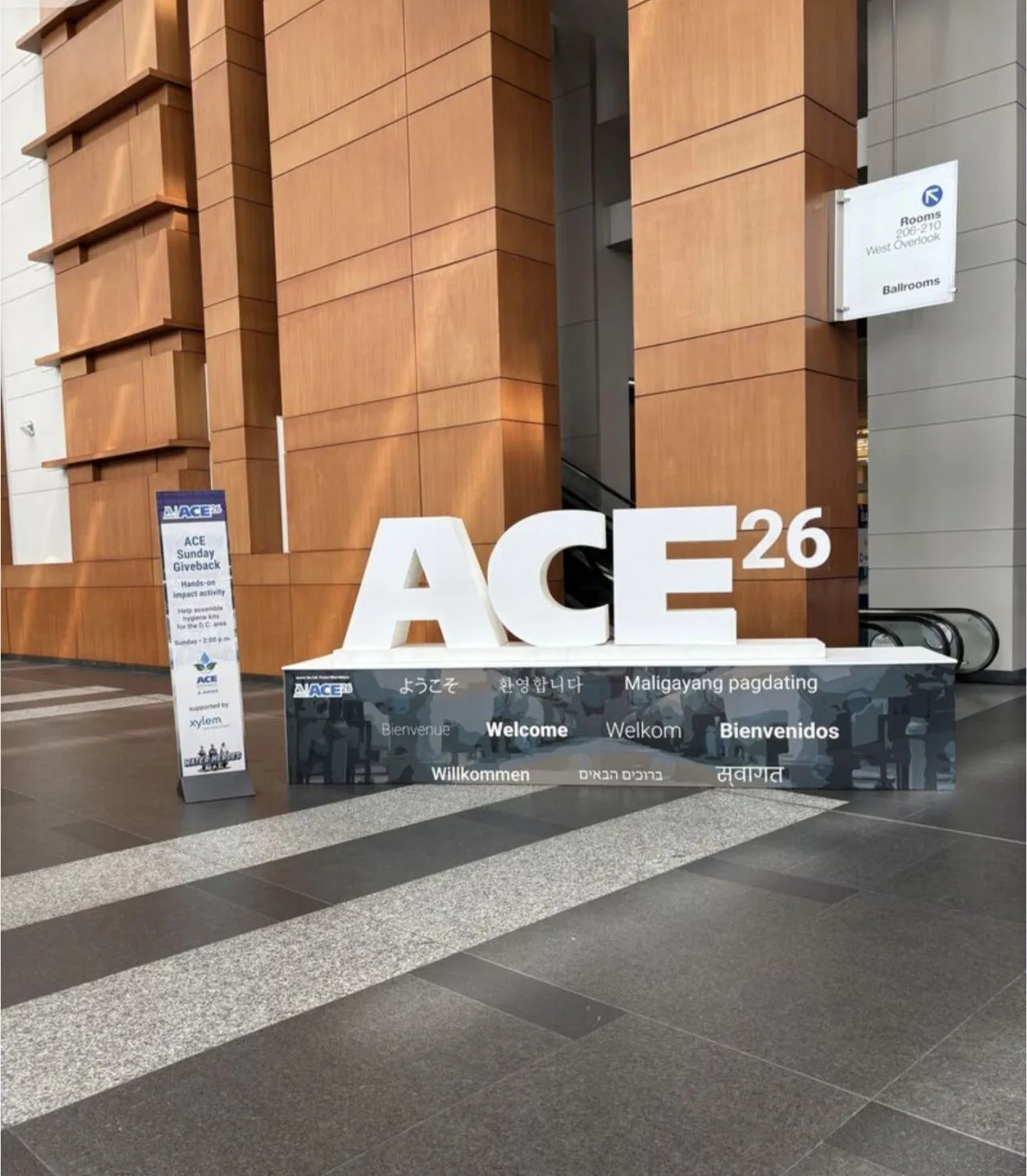 Ace26 1