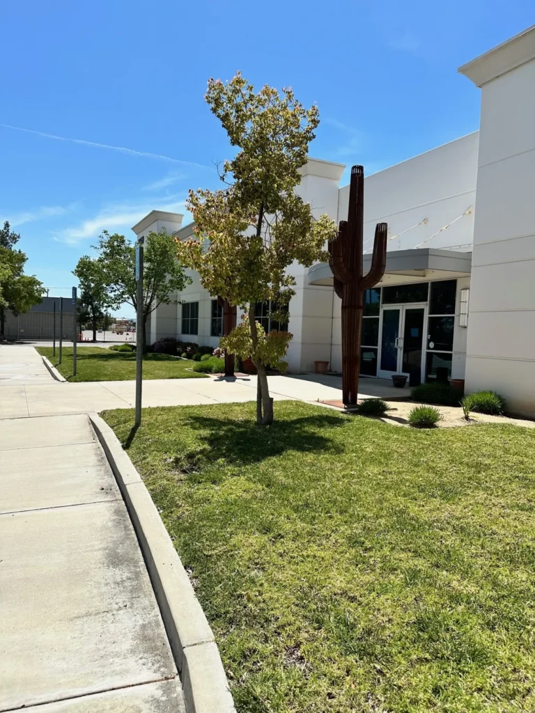 Turf landscape at a commercial property